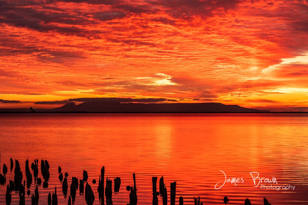 James R Brown tweet media