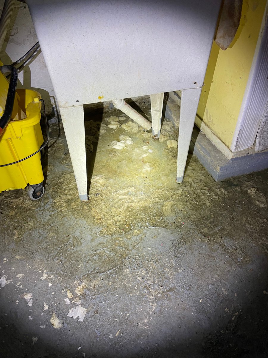 SewerCleaningCo's tweet photo. Facing issues with wipes and white mice clogging your pipes? Sewer Cleaning Company is your solution! Our team is here to fix, clean, and ensure that your pipes flow freely! Give us a call today! 440-290-6055 #wipesclogpipes #backup #wecanfixit #dirtyjobs #excellentservice https://t.co/PsIRv5IPxv