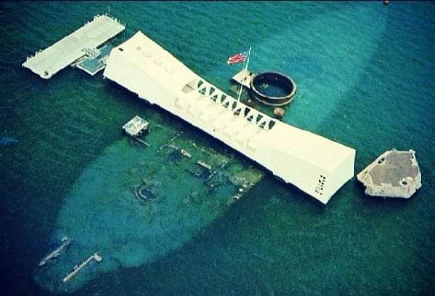 ThatHouseInMars's tweet image. In Remembrance