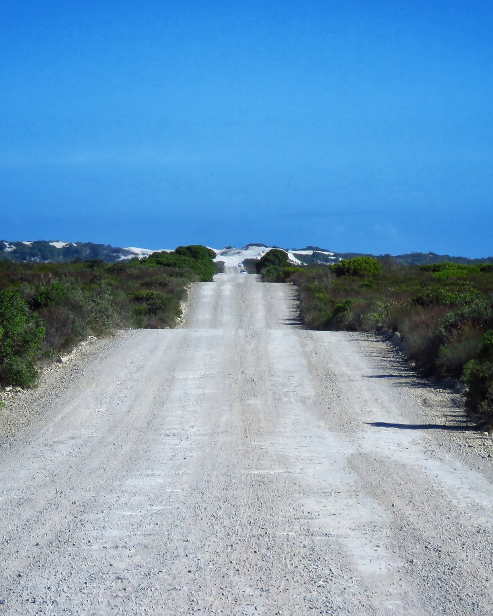 gotravelbug's tweet image. Spend the last couple of days in this beautiful place ✨️ 
@DeHoopReserve 
It was beyond what I expected!
As a birder, wow 👌🏽 
As a hiker, oh man, you can indulge
As an escape, just a perfect spoil. 
@CapeCountryR 
#CapeCountryRoutes #dehoopcollection #Overberg
