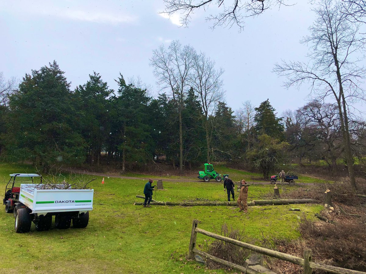 Significant tree work around twelve creek crossing in preparation for new drainage in the roughs #Decemberwork #snowflurries #getRdone