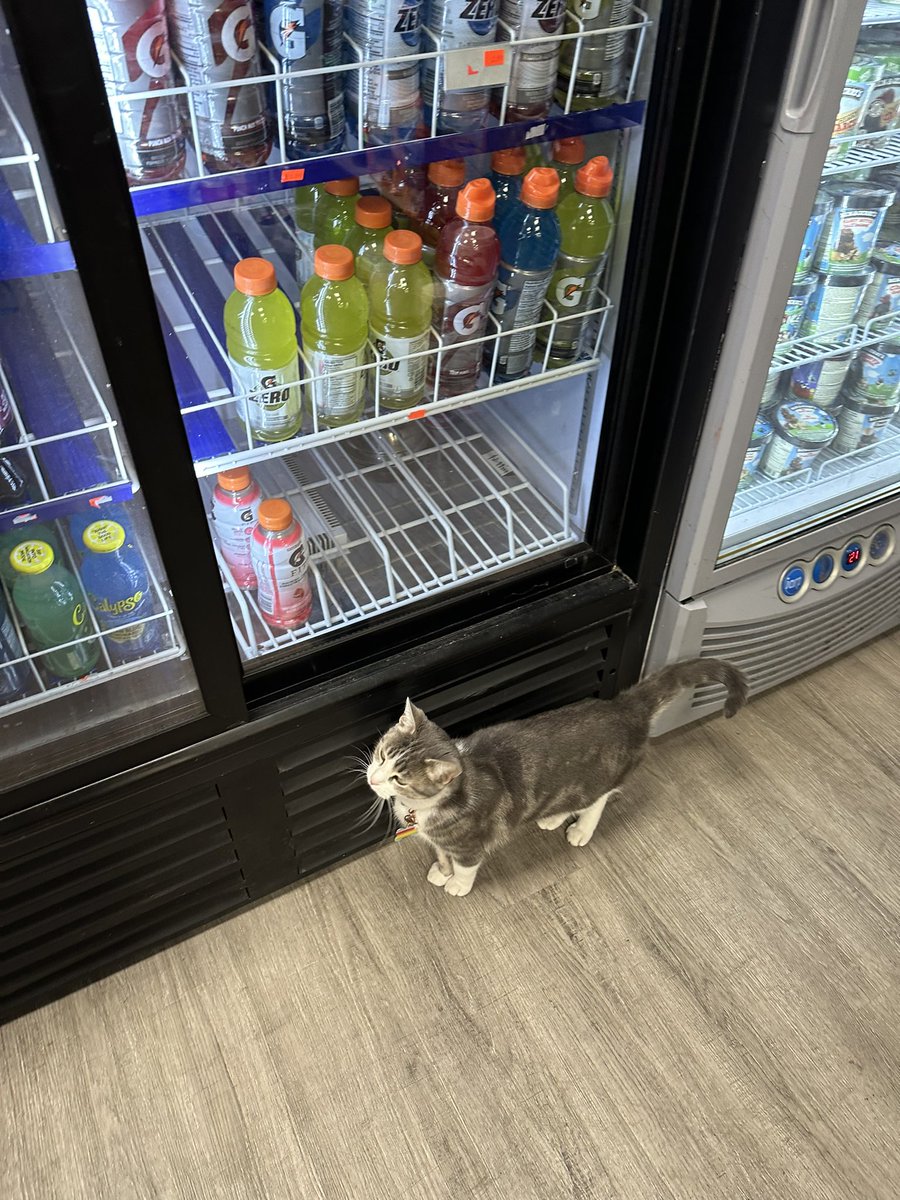 a short man showing me the drink selection