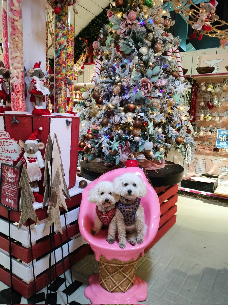 We're shopping....anybody want something?