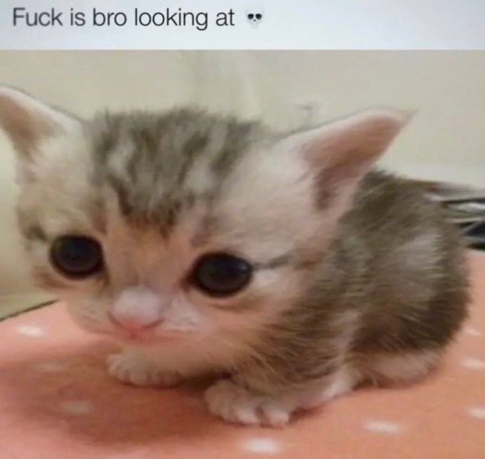 Peppermint_Pimp's tweet photo. Me in utter despair and disgust after seeing the screenshots of the new discord mobile layout. This shit is the definition of "if it ain't broke don't fix it" cause what the fuck is this shit #changediscordback https://t.co/rDHCY8D7Lq