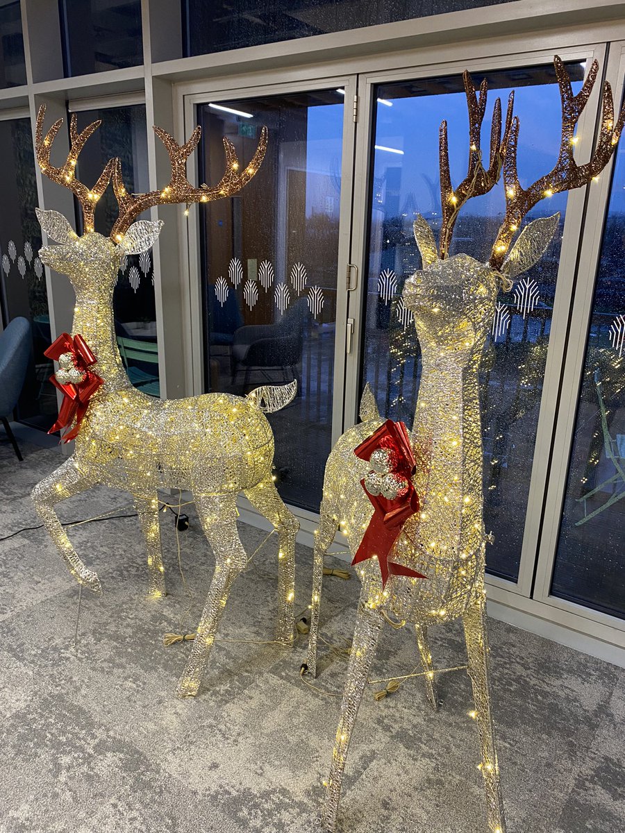 Our Glasgow Office is looking great after its Festive makeover today. #Glasgow #festive #speirsgumley #glasgowpropertymanagement #property