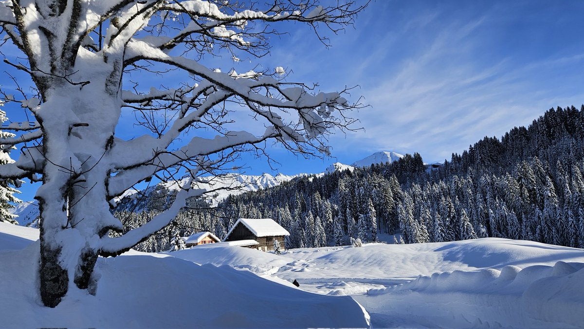 Hans&Odette tweet media