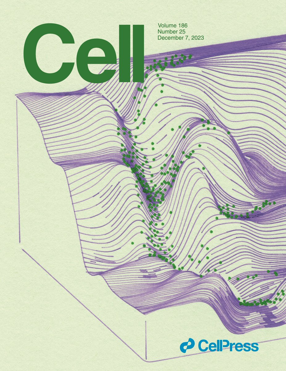 Very excited to share two papers published today in @CellCellPress describing stem cell plasticity in CRC. (1/22) cell.com/cell/fulltext/… cell.com/cell/fulltext/…