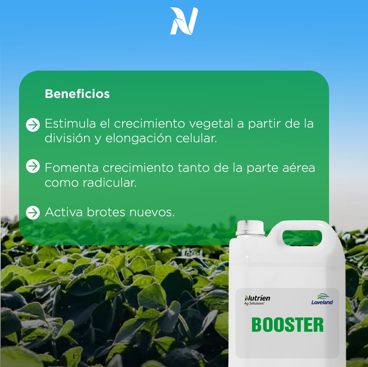 💪🏼¡Nuestros productos son imbatibles!

➡️Probá nuestro bioestimulante #Booster que acelera el metabolismo de las plantas.

Es un inductor de📈crecimiento. Y si se presentan situaciones de estrés, tales como adversidades meteorológicas, este producto fomenta su crecimiento.