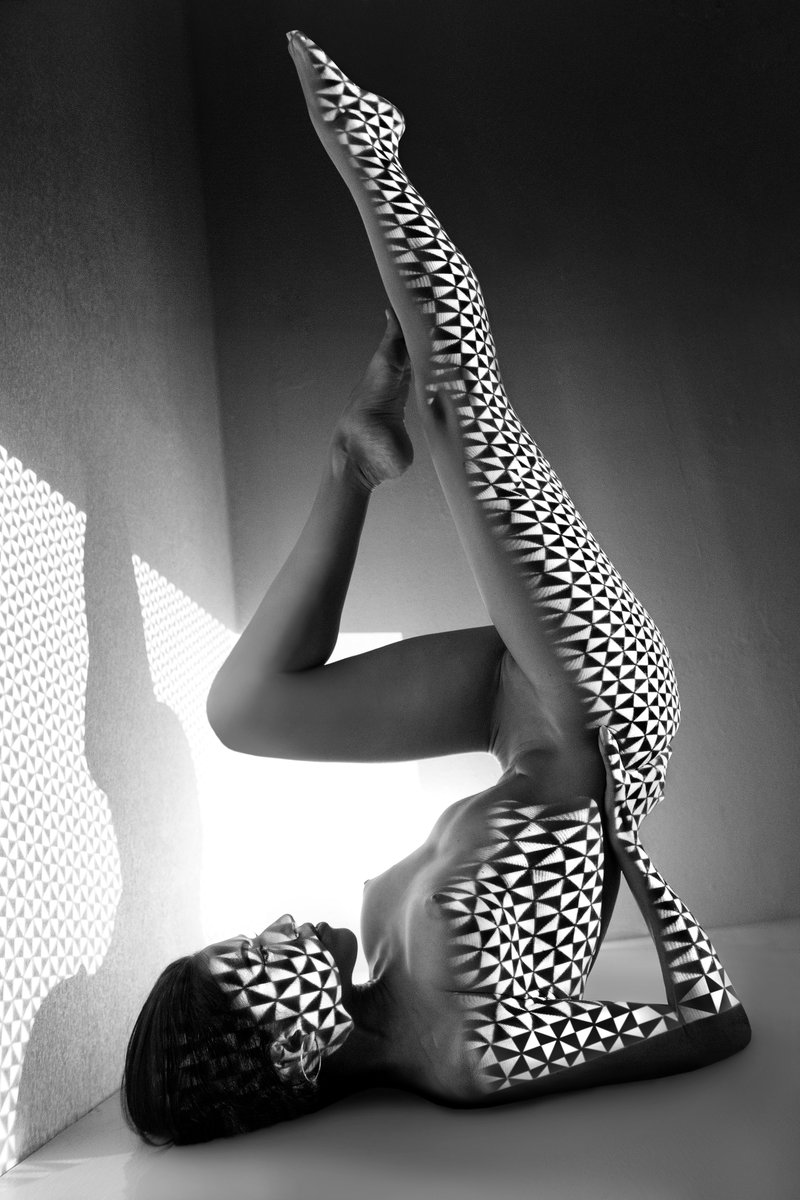 gm from the collection