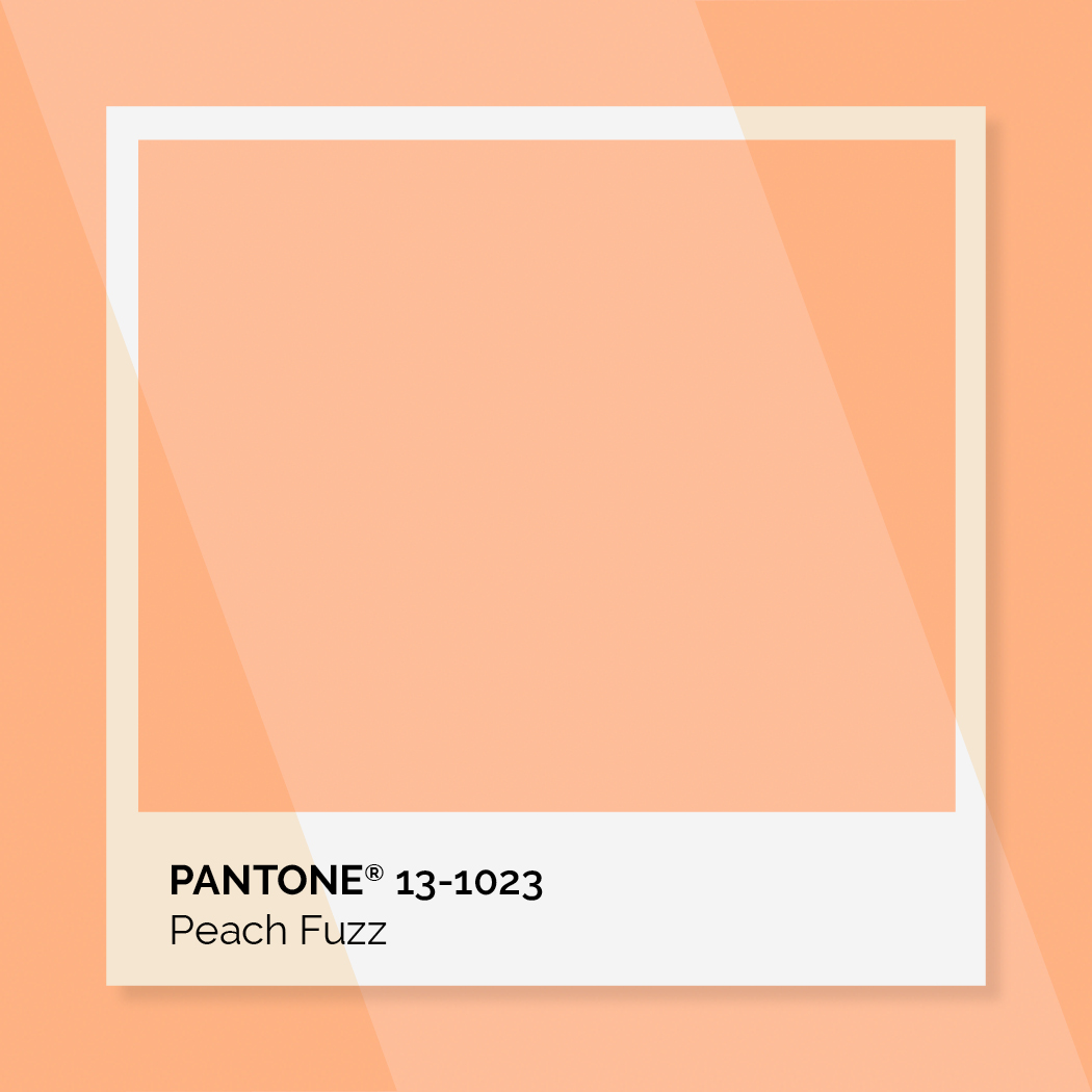 AVIDD Design tweet media