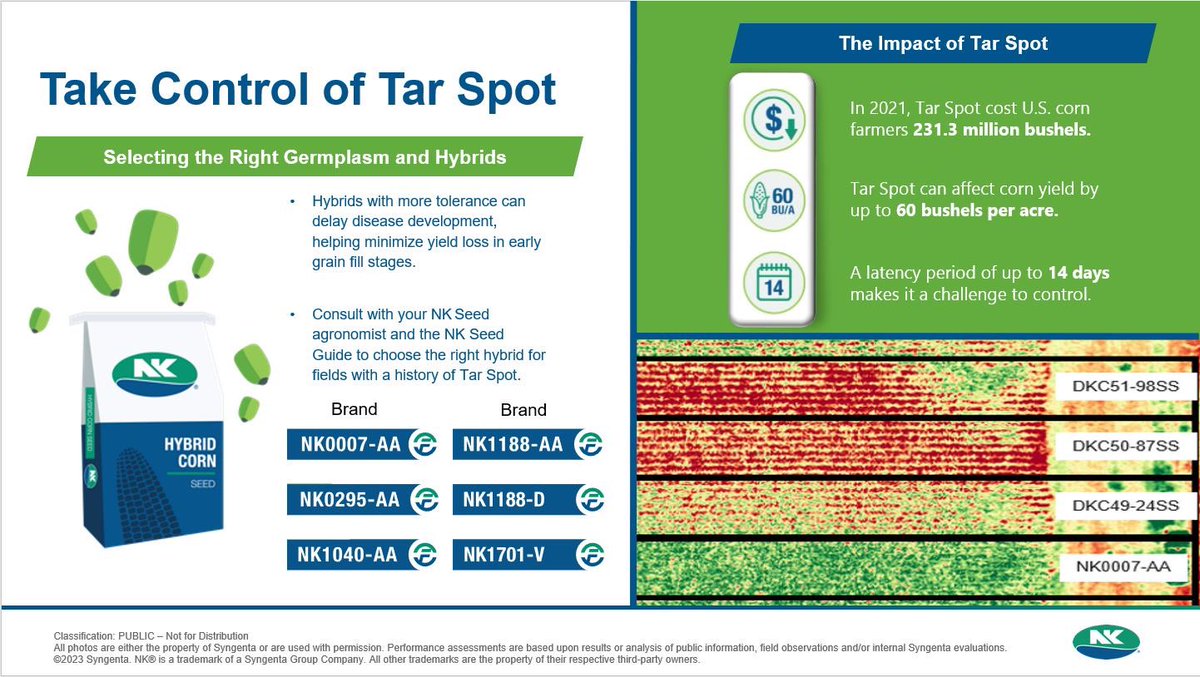Are you looking for a hybrid that can help protect you against Tar Spot AND give you the yield results you’re looking for? NK1040-AA yielded 5.7 Bu/A over the plot average in Fontanelle, IA.🌽

Consult your local NK sales rep to assist you today! 🌽 

#NKHarvest23 <a href="/NKSeeds/">NK Seeds</a>