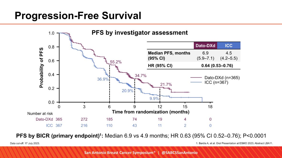 Maria Hafez tweet media