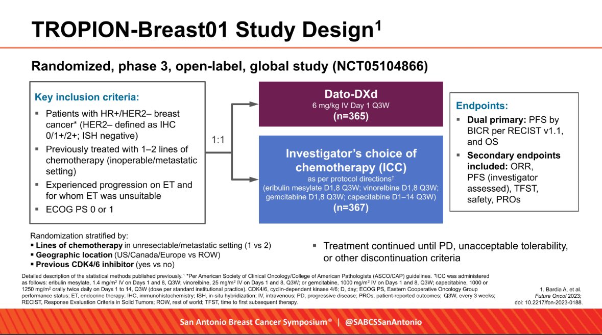 Maria Hafez tweet media