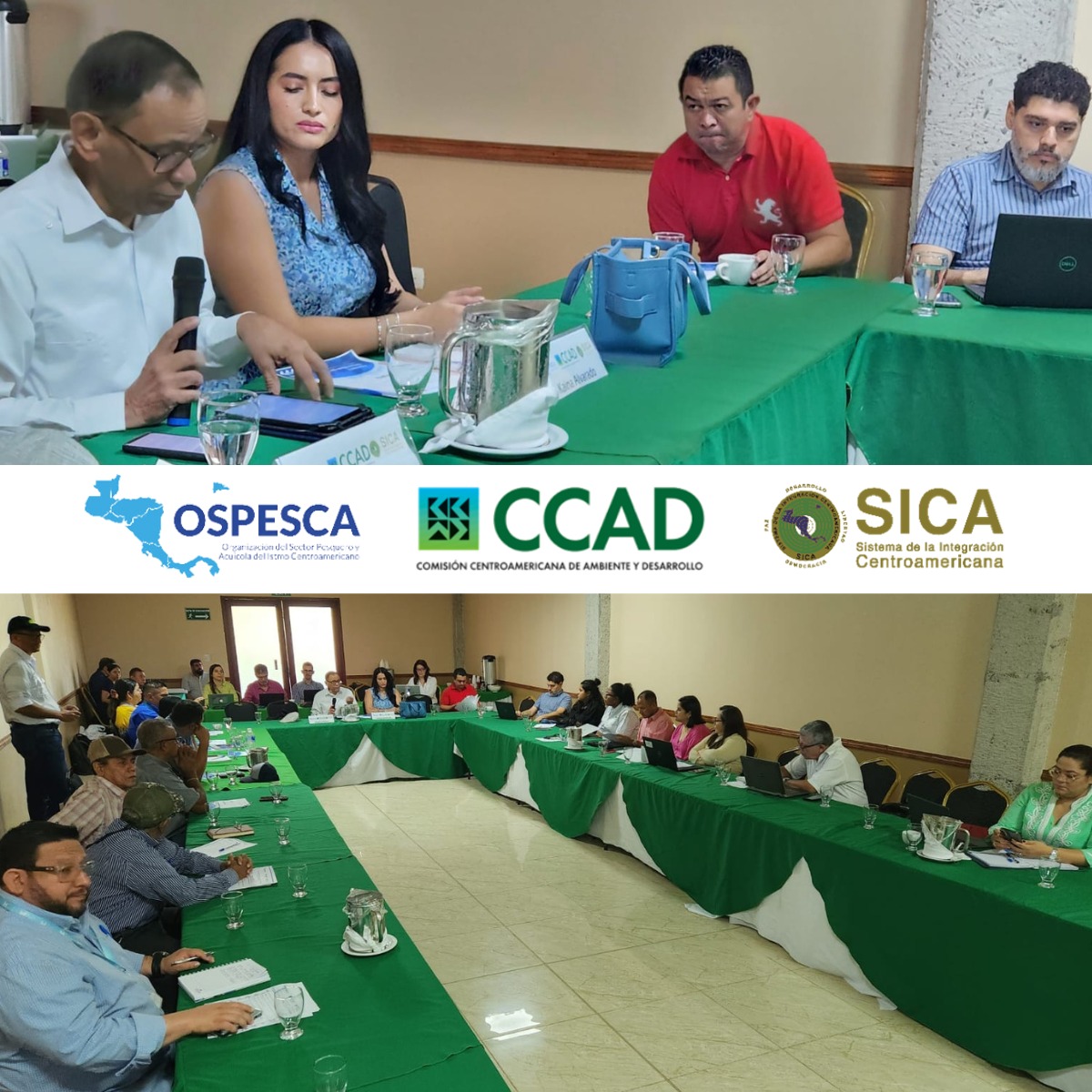 ICSEM tweet media