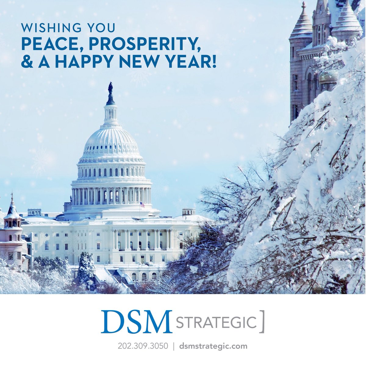 dsmstrategic.com