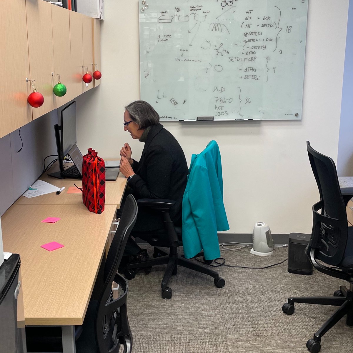 @KimrynRathmell stepped down as chair of @VUMC_Medicine & gave up her office, so I gave her a desk in my lab w/ the grad students. She's settled in & hard at work getting ready for the @theNCI.