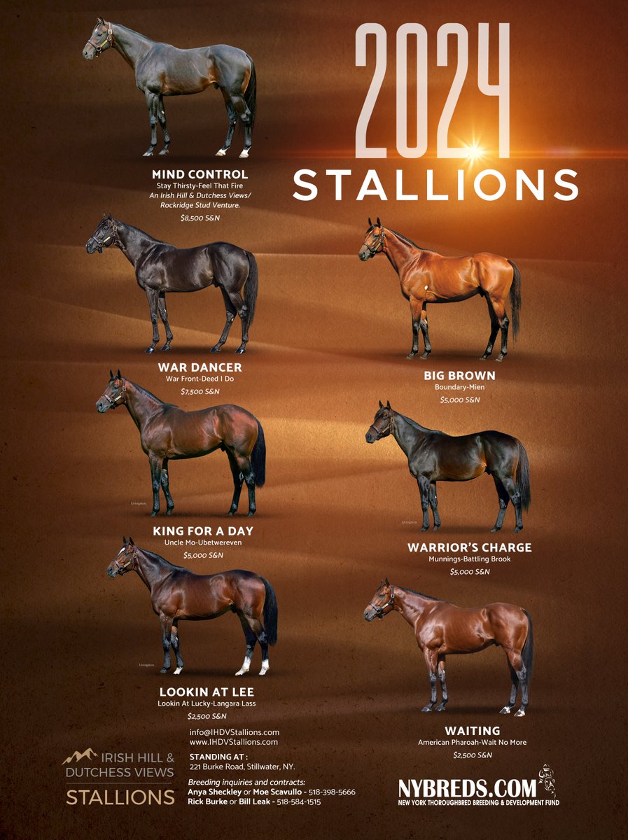 STALLION SHOW SATURDAY!! Noon to 3:00 pm Irish Hill Century Farm stallion barn See the Stallions, enjoy a delicious lunch, amazing stallion show only pricing enter the drawing for a complimentary season Enter online: ihdvstallions.com/ssr2024.html