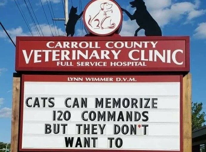 It does not matter what pet you have, be it a cat, dog, or hamster. It doesn't even matter if you don't have a pet. These 40 wacky veterinary clinic posts will brighten your day >> en.12up.com/view/?id=funny…