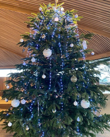 🇬🇧 Christmas is coming in Le Dôme ! ⛄

🇫🇷  Noël arrive au Dôme !