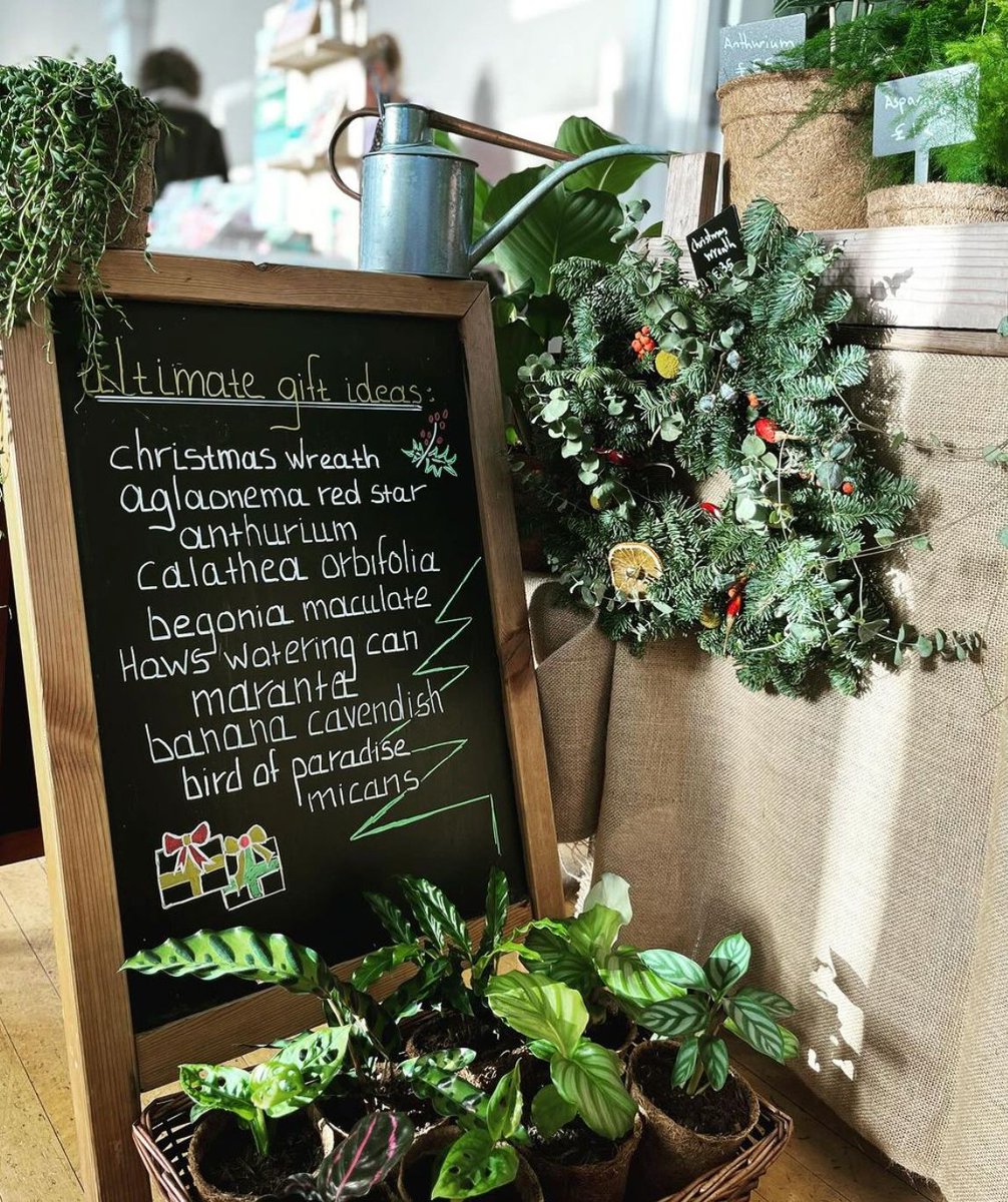 Our eco-friendly plant vendors <a href="/ihaveaplant/">jade</a>.co.uk are set to showcase a wide range of options at the market this weekend, making your gifting decisions a breeze!

🎁 Wondering what to get for someone special? Stop by and find out why plants make the perfect gifts! 🪴