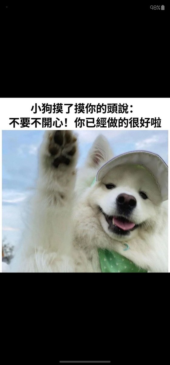 chyilei18's tweet photo. @hry_702 https://t.co/tOkTOVXW8Y