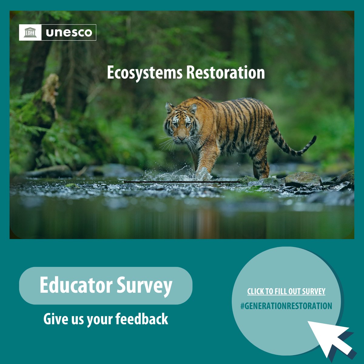 📚🌱UNESCO, FEE and NAAEE are leading an education challenge for the UN Decade on Ecosystem Restoration. 

Calling all educators! Share your insights on integrating #ecosystemrestoration education. Be a voice for change! 🌿 

Take the survey: lnkd.in/emMj2Wyq
 #ESDfor2030
