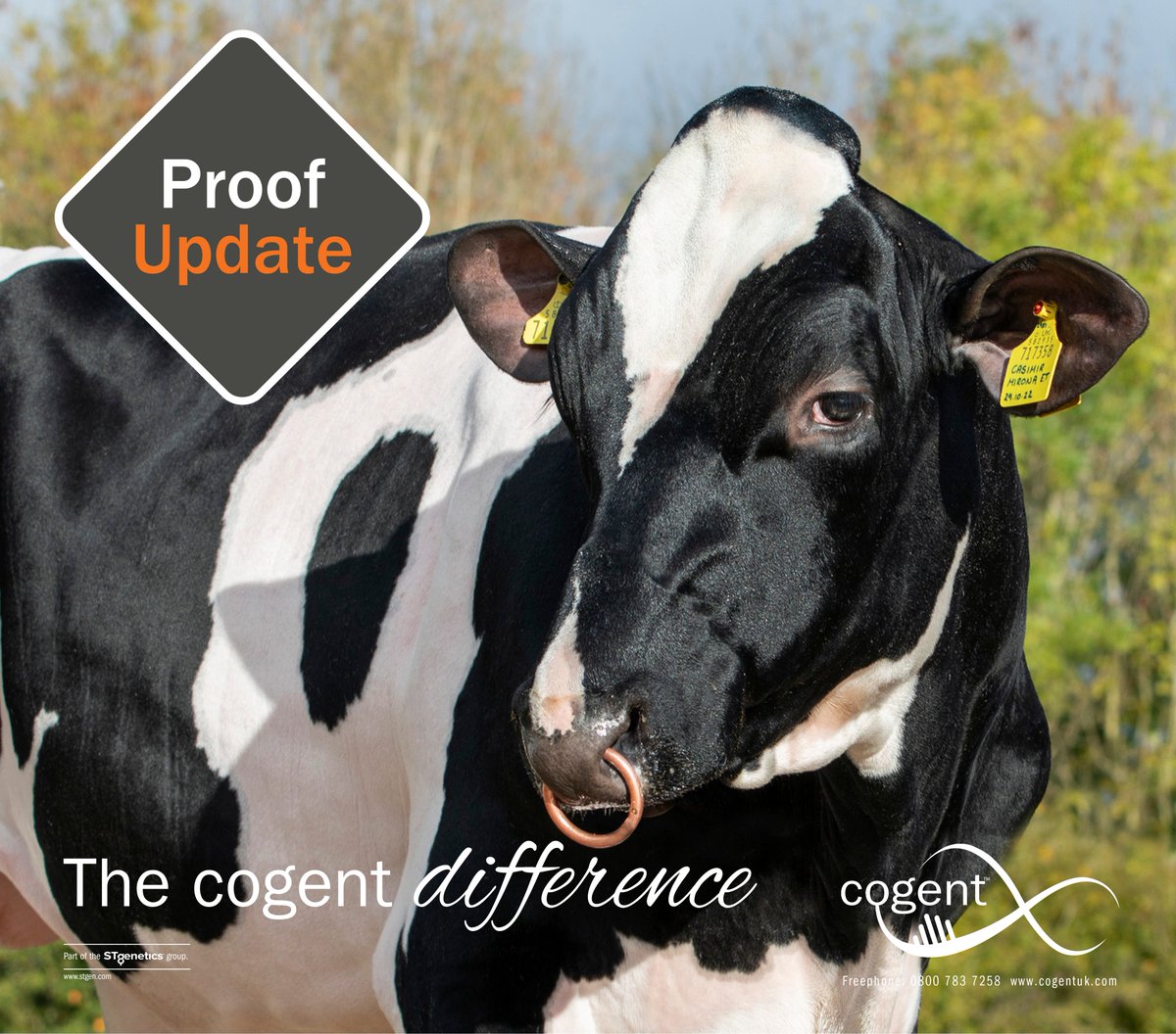 Holstein Product Manager Will Barber shares insights on this winter's sire summaries.

Cogent’s latest Holstein Portfolio showcases high-index sires, proven bulls, and stylish crossovers, making it one of the strongest yet!

Visit cogentuk.com/news/pro 

#TheCogentDifference