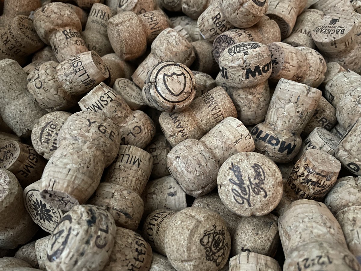 The Champagne Annual is live, with 115+ champagnes tasted and reviewed this year, plus my snapshot of the 2023 vintage 
gismondionwine.com/blog/champagne… 
+ if you’re looking for wines outside of Champagne, the Sparkling Report is also live today on the site with 125+ wines reviewed 
🍾🍾
