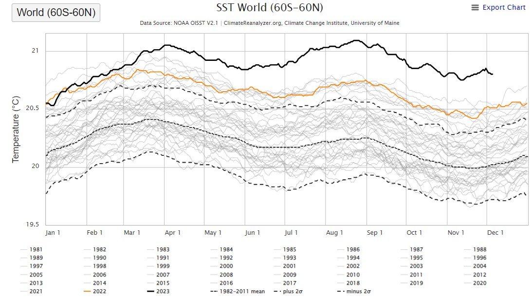 Juan Bordera🌍🇵🇸 tweet media