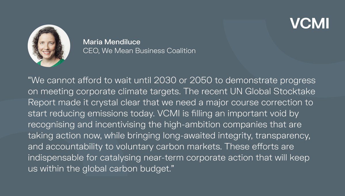 We are pleased to receive the endorsement of @mendiluce at @WMBtweets who commends our efforts in recognizing and rewarding companies making impactful contributions in the #VCMs. #cop28uae