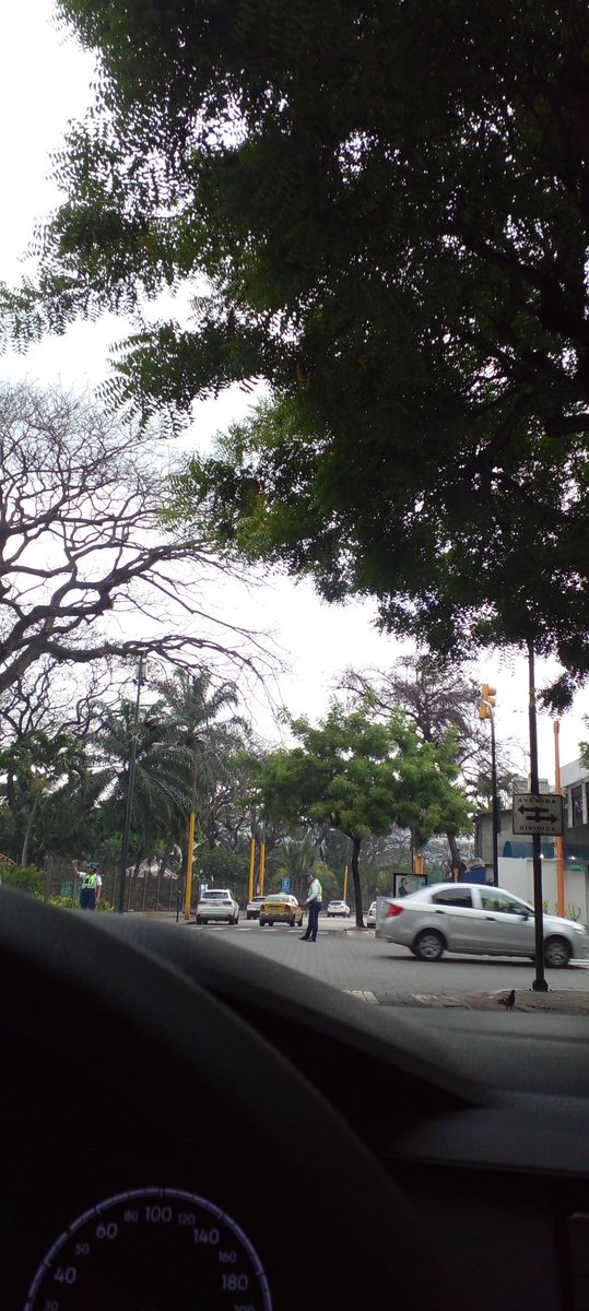 jackcobo04's tweet photo. @ATM_Transito @ATMGuayaquil @ambiente_gye @alcaldiagye Poco visibilidad del semaforo https://t.co/1Qmgyo4ltv