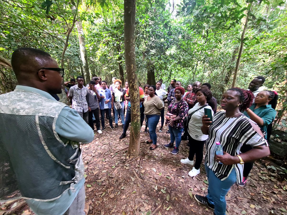 csirforig tweet media