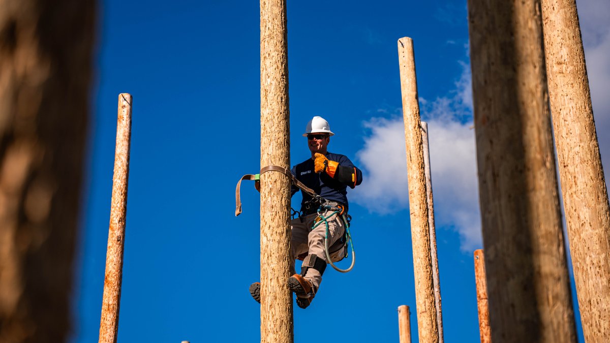 ForsythTechCC's tweet photo. 🎓 A big Congratulations to our 62nd Class of Electrical Lineworker Graduates cohort of skilled, dedicated professionals ready to illuminate the world! 💡👏 #LineworkerStrong #Graduates #PoweringTheFuture #APlaceofPromise https://t.co/o43fVYR6ZQ