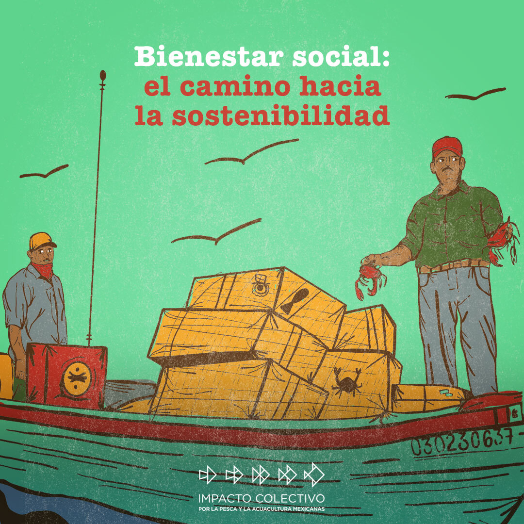 Apoyar a que las comunidades pesqueras tengan un nivel óptimo de #BienestarSocial es una tarea de todas y todos. Ayudemos a que sus derechos fundamentales sean garantizados y promover una #PescaSustentable. Visita  icpmx.org/bienestar-soci…
<a href="/EDF_Espanol/">EDF en Español</a> @NiparajaAC <a href="/cedepesca/">CeDePesca</a>