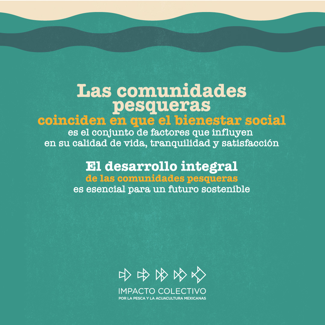 ICPMX (@icpmx1) on Twitter photo 