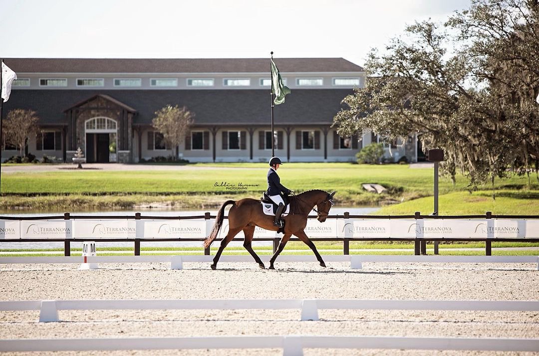 SuccessEques's tweet photo. Repost from @nnenemaneventing
•
Thank you @photosbycallie for the lovely photos of Lagans Ricardo Boy! Much appreciated ❤️
#noslipsaddlepads #successequestrian https://t.co/8o4LPFrpXO