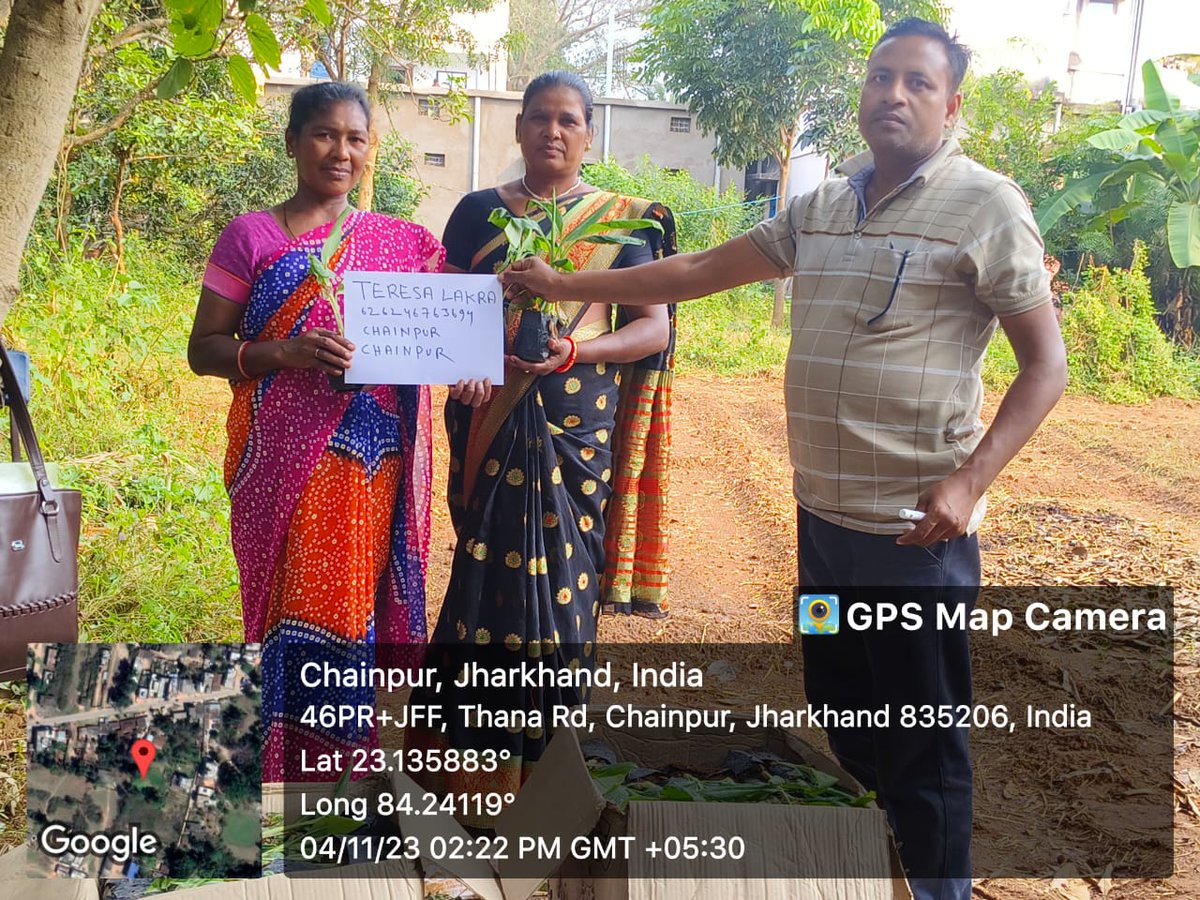 WomenBell's tweet photo. BWDS संस्था तथा उद्यान विभाग के तत्वाधान में उद्यान विकास योजना के अंतर्गत किसानों के बीच 100%  अनुदान में केला का पौधा वितरण किया गया मौके पर उपस्थित कृषि विभाग से दीपक कुमार सिंह तथा जिला परिषद मेरी लकड़ा मुखिया  आभा देवी तथा BWDS संस्था के प्रखंड पदाधिकारी प��नम कुजूरउपस्थित थे https://t.co/DHVUUsJ3oD