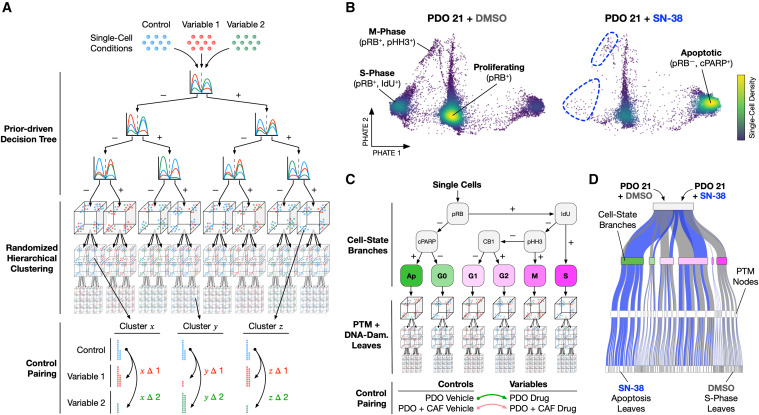 Krishnaswamy Lab (@krishnaswamylab) on Twitter photo Excited to have our article "Trellis tree-based analysis reveals stromal regulation of patient-derived organoid drug responses," out in <a href="/CellCellPress/">Cell</a> today!! Great collaboration with <a href="/christophertape/">Chris Tape</a> lead by <a href="/Maria_Ramos_Z/">Maria Ramos</a> and <a href="/AlexanderTong7/">Alex Tong</a>!
authors.elsevier.com/sd/article/S00… Excited to have our article "Trellis tree-based analysis reveals stromal regulation of patient-derived organoid drug responses," out in <a href="/CellCellPress/">Cell</a> today!! Great collaboration with <a href="/christophertape/">Chris Tape</a> lead by <a href="/Maria_Ramos_Z/">Maria Ramos</a> and <a href="/AlexanderTong7/">Alex Tong</a>!
authors.elsevier.com/sd/article/S00…