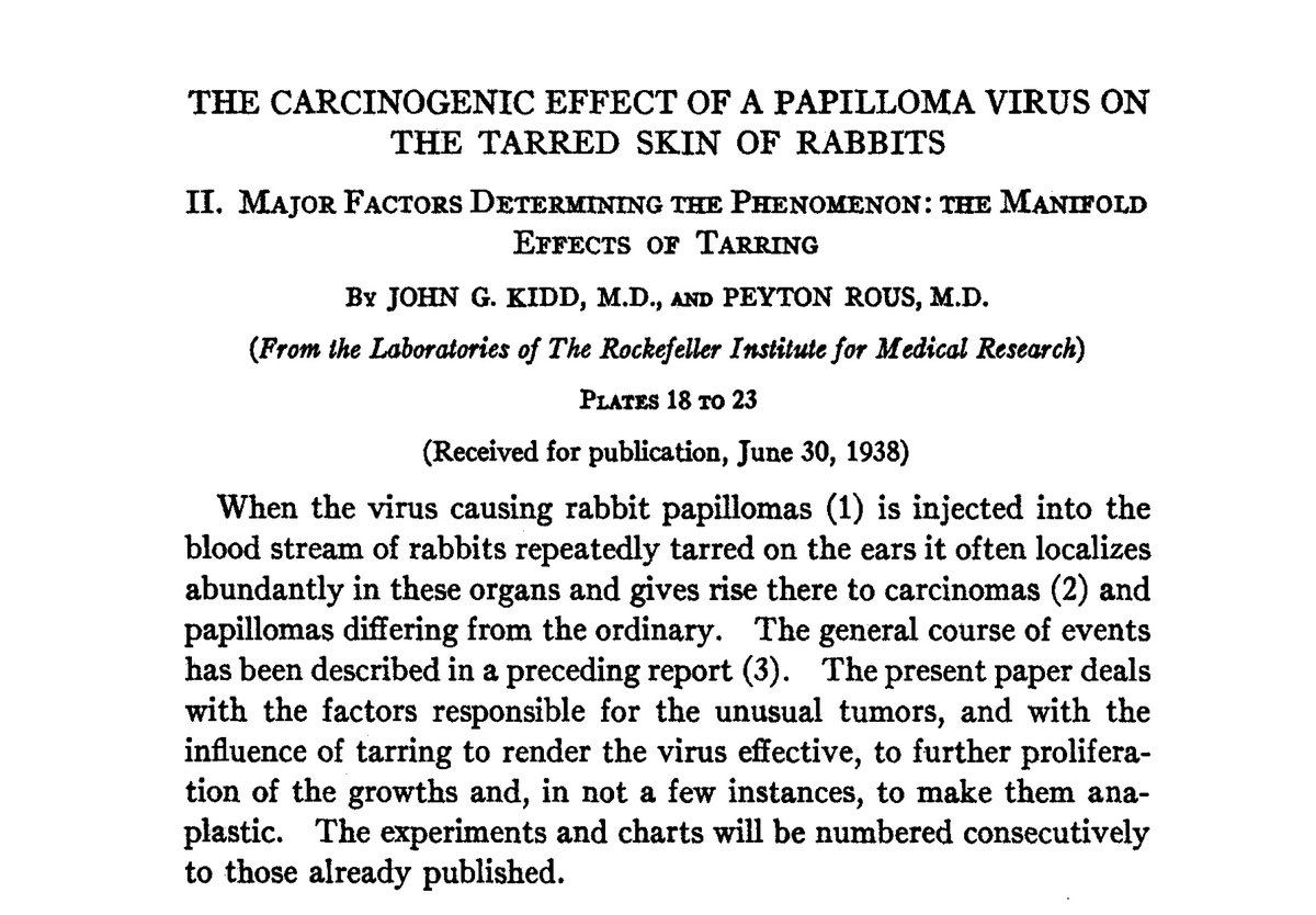 🔙 Throwback to groundbreaking research @JExpMed  in 1938! 🔬Scientists discovered that repeated tarring of the skin🐇+rabbit papilloma virus🦠=malignant tumors. #JEMlegacy #ResearchMilestones

bit.ly/41h8Aig