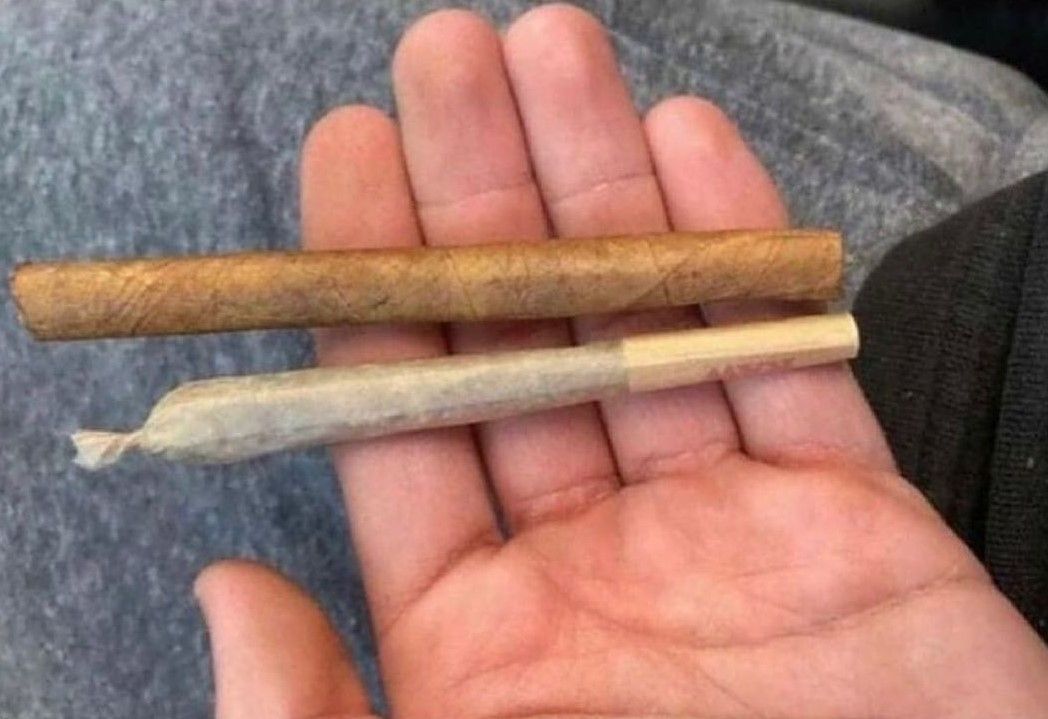 GeniusPothead 💹🧲 tweet media