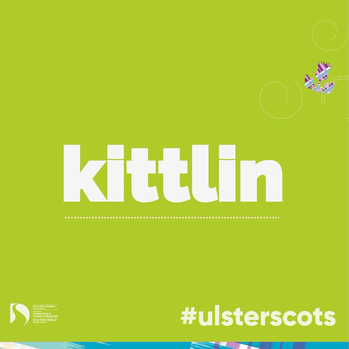 Kittlin (noun): a kitten. Often heard in the phrase 'Gleaming like a kittlin’s eye' meaning to sparkle. From Old Norse 'ketlingr', cognate with the Middle English 'kiteling', Icelandic 'kettlingur', Norwegian 'ketling' and Swedish 'källing' #UlsterScots #Scots #Germanic 🐱