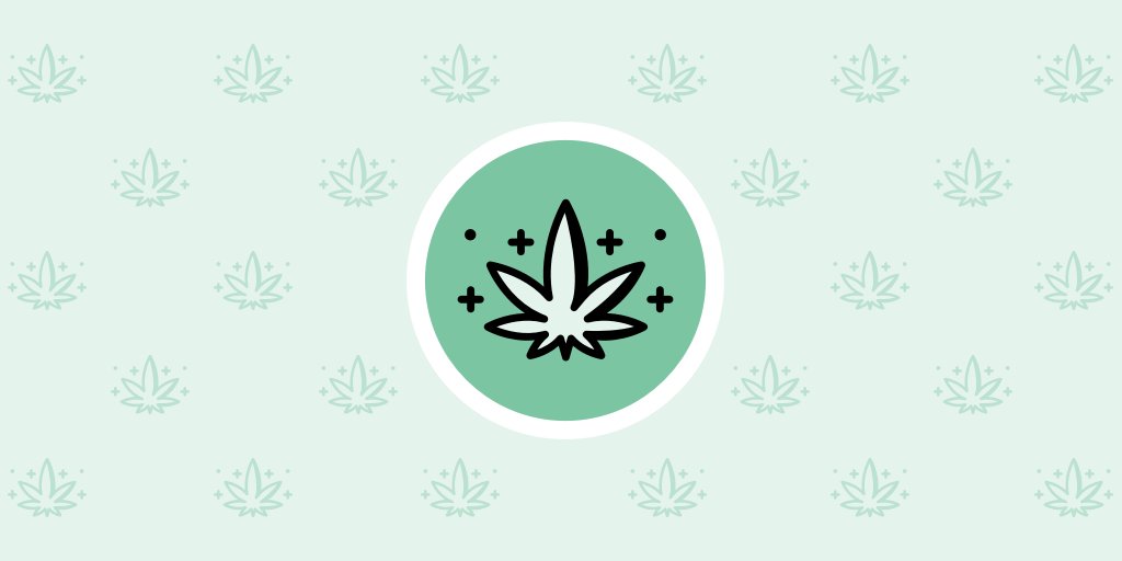 Good stuff in this week's Nuggets newsletter: We talk to Minnesota's newest pot regulator, OCM is launching a monthly newsletter, a Twin Cities company makes 1-mg edibles, and a look at short-lived OCM director Erin Dupree's job application Read it here: t.e2ma.net/message/bse61u…