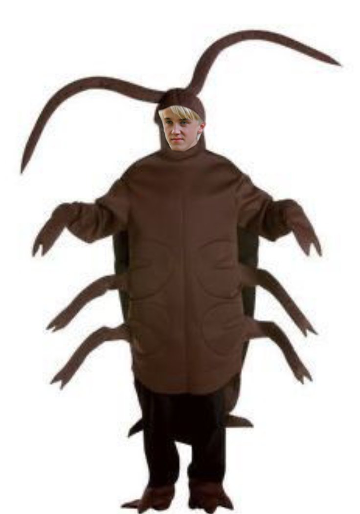 มือเรียวหยิบแว่นขึ้นมาสวมก่อนจะจ้องมองไปที่รูปของลูกชายตระกูลมัลฟอยอย่างตั้งใจก่อนที่เขาจะตกใจและถอยหลังไป

“ อ่าวคุณหนู! ”