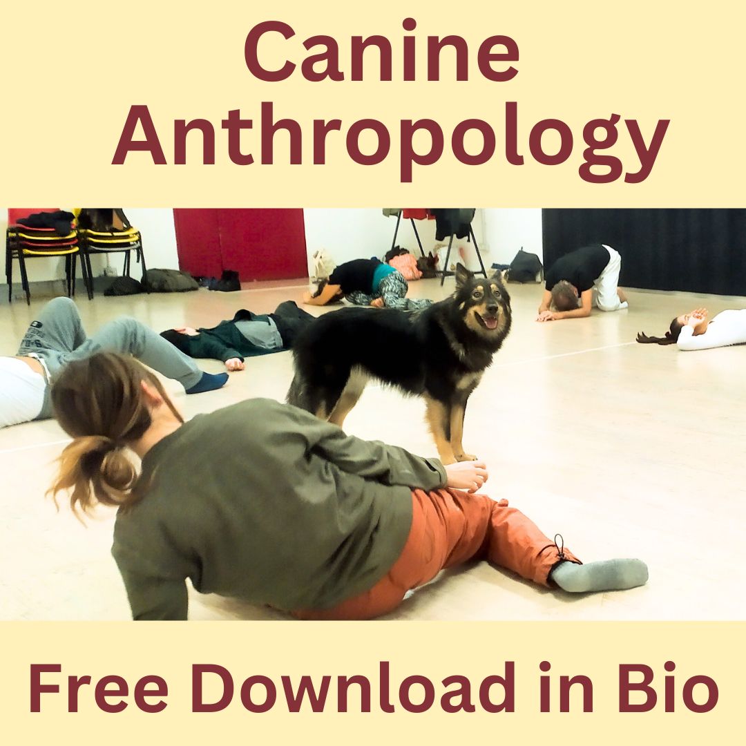 CANINE ANTHROPOLOGY, here the new blogpost, and FREE DOWNLOAD  
#canines #psychology #anthropology #humananimalbond #animalrights #anthrozoology #somaticexperiencing 

marcoadda.com/blogpost-canin…