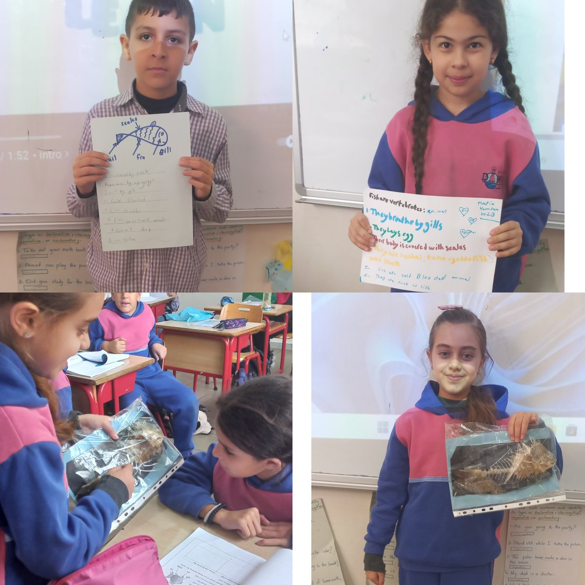 SamahGhorabi's tweet photo. "What we learn with pleasure we never forget."
Grade 4 C listed the  characteristics of  fish. 🐟 🐠 🎣
@makdawhaschool @soha_nj @raefa_jomaa https://t.co/TrTKIIIf3E