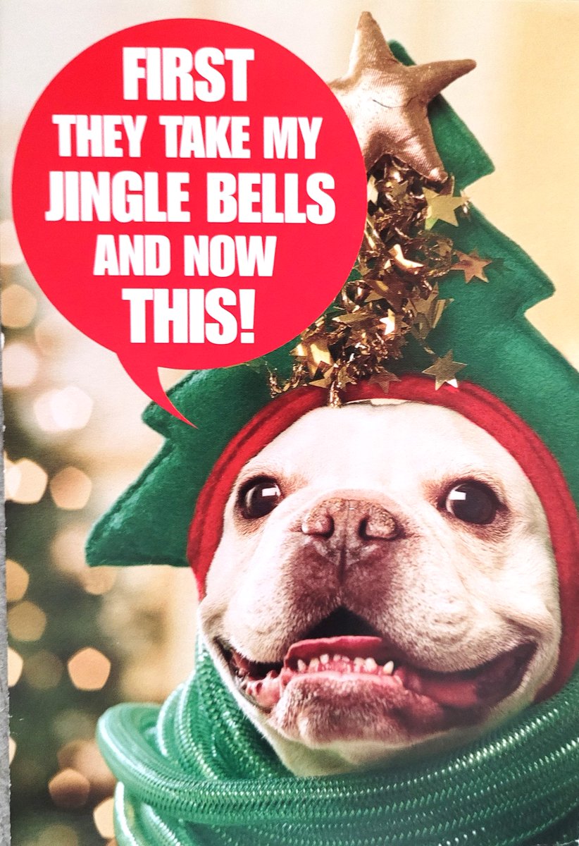 SusanDadamo's tweet image. #Christmas 
#Humor   
#ChristmasHumor
#Dogs