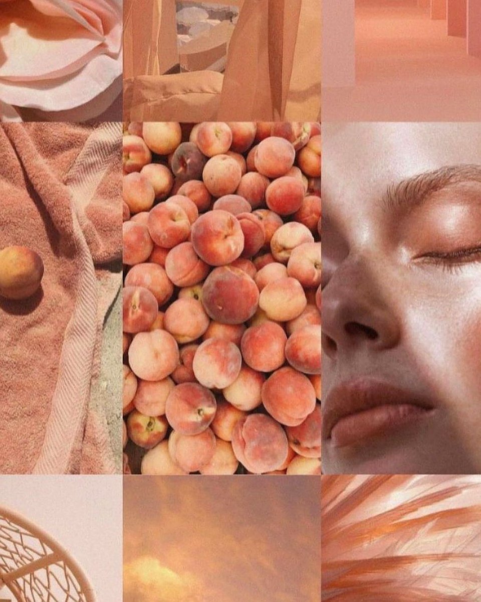 'Peach Fuzz' Named Color of the Year 2024 🍑 by @pantone 🎨 
#coloroftheyear #pantone #2024 #peachfuzz