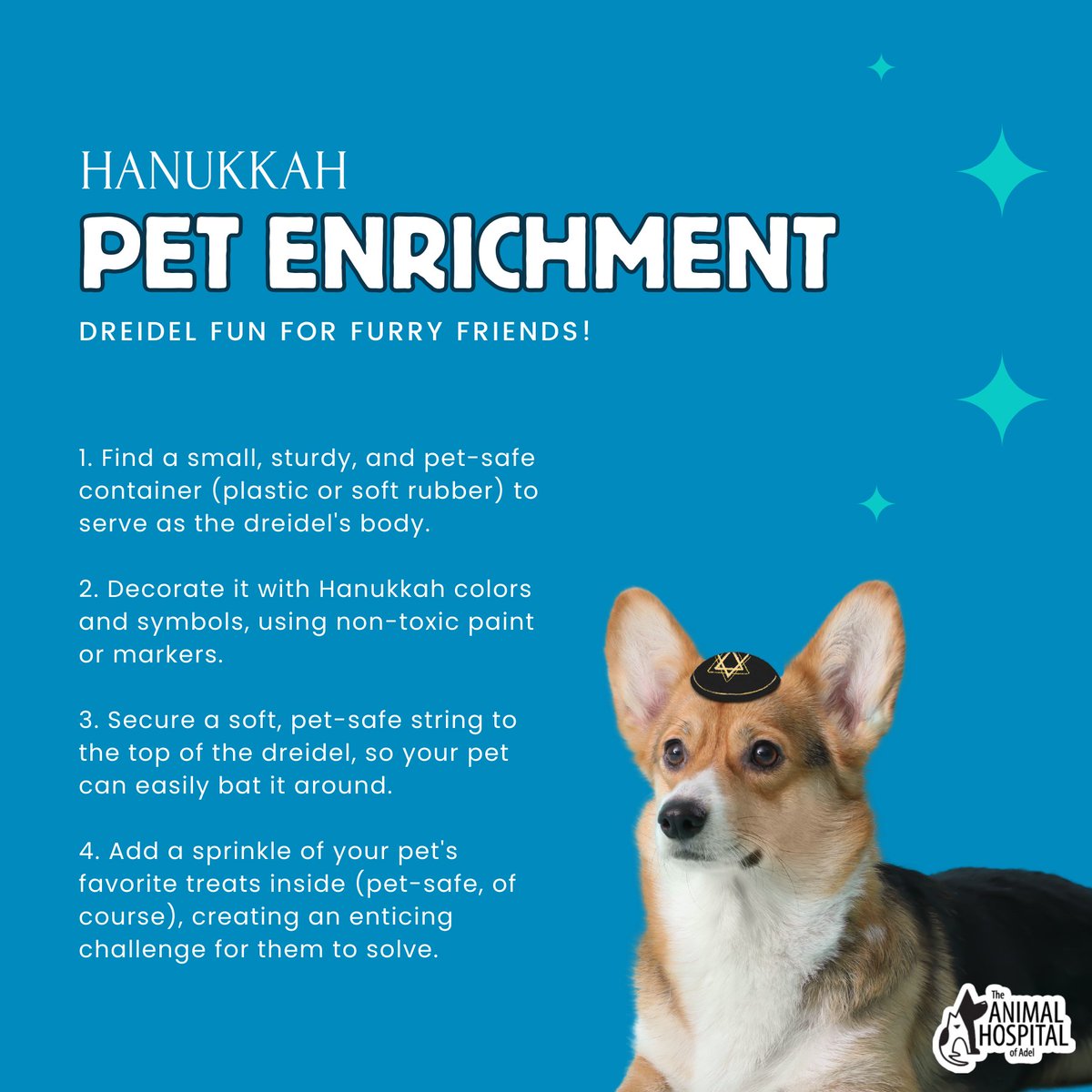 Happy Hanukkah! Try some Hanukkah-themed enrichment activities this holiday season. Try out this pet-safe DIY dreidel to keep them mentally engaged and happy. 🕯️🐕 #PetEnrichment