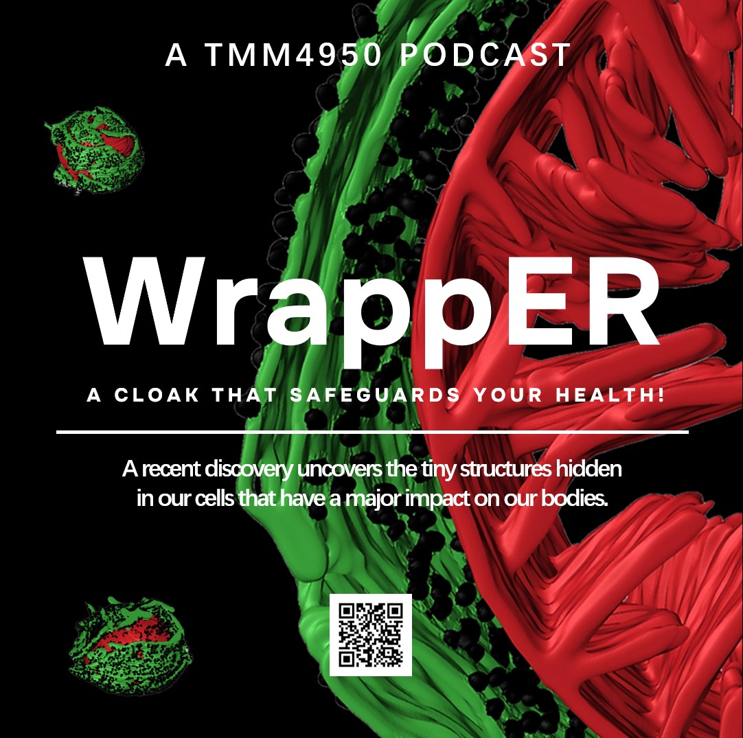 Tune in to our episode on the #wrappER, a cloak that safeguards your health! 🦸🔬 bitly.ws/34PZ3

<a href="/Pellegrini_Lab/">Luca Pellegrini Lab 🇨🇦</a> shares his work on how contacts between organelles are critical for #health. 🎙️✨

Welcome to <a href="/uOttawaMed/">uOttawa | Faculté de médecine, Faculty of Medicine</a>, Dr. Pellegrini!🏛️

@EmilioIAlarcon1 <a href="/BEaTSResearch/">BioEngineering and Therapeutic Solutions (BEaTS)</a>