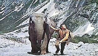 #ToddsScreenGuide 0942 In 1968, #studiocorrespondent of UK film-industry paper,I was invited to Munich shoot of #HannibalBrooks. I made an excuse.Anyone who knew director MichaelWinner will understand why. Yarn of #WW2 PoW who walks #elephant over alps is on UKtv tonite: 10pmCh82